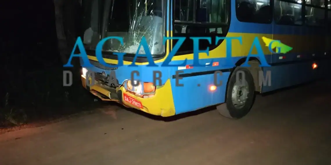 Ônibus perde os freios, colide contra veículo que cai dentro de Igarapé