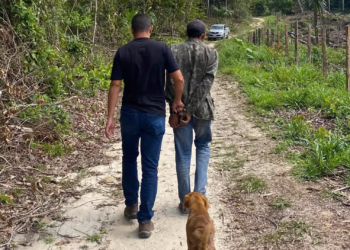 Polícia Civil do Acre prende homem por descumprimento de Medida Protetiva