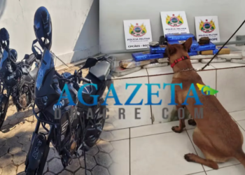 Homem com dois mandados de prisão é apreendido com quase 17 kg de skank