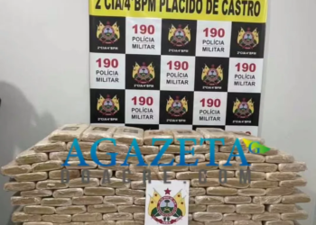 PM apreende 116 kg de maconha no interior