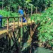 Nova ponte e limpeza de córrego: prefeitura de Rio Branco inicia obras no Ouricuri