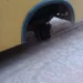 Morador de Capixaba flagra ônibus escolar sem uma roda e alerta: 'estamos temerosos quanto a um acidente maior'