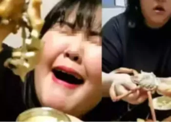 Mulher que morreu durante live tentando comer 10 kg de comida em 10 horas teve 'estomago deformado'