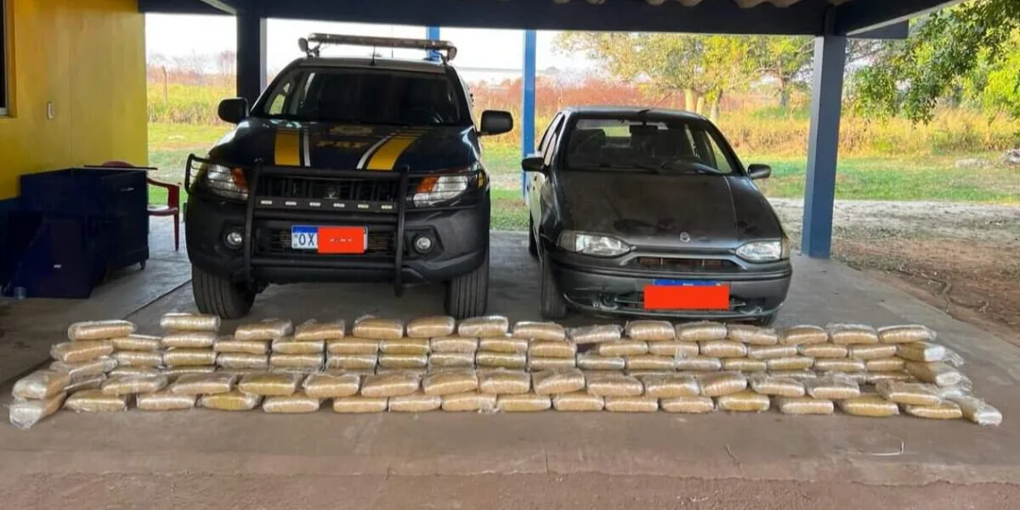 PRF/AC apreende 110 kg de skunk em porta-mala de veículo na BR-364