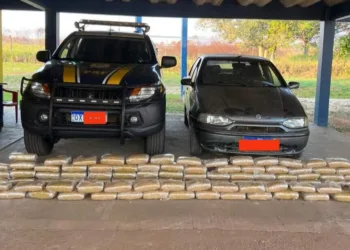 PRF/AC apreende 110 kg de skunk em porta-mala de veículo na BR-364