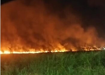 Incêndio de grandes proporções atinge área de vegetação da Cidade do Povo; saiba mais detalhes