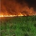 Incêndio de grandes proporções atinge área de vegetação da Cidade do Povo; saiba mais detalhes