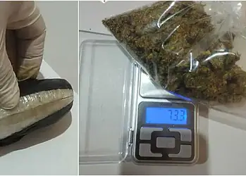Tráfico e posse de drogas: Acre registra 130 ocorrências em outubro