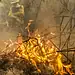 Brigadistas da comunidade quilombola Kalunga, em Goiás, chegam ao Pantanal para ajudar a combater o fogo - Marcelo Camargo/Agência Brasil