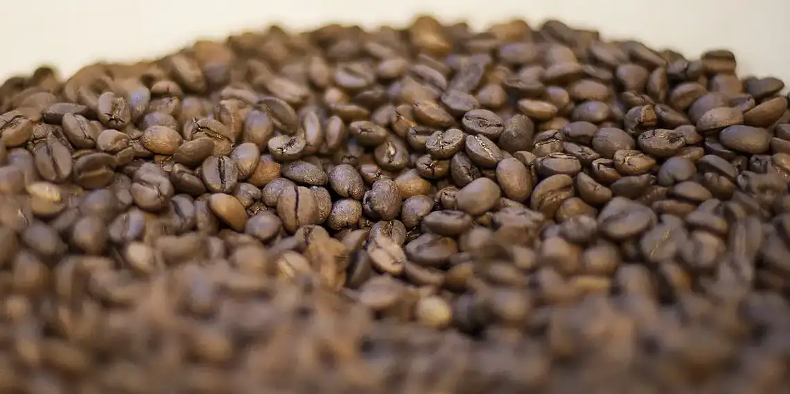 Conheça os elementos que tornam o café torrado impróprio para consumo