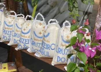 Sebrae e Central de Cooperativas do Juruá realizam Seminário da IG da Farinha de Cruzeiro do Sul