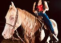 Rainha do Rodeio da Expoacre 2024 será eleita neste sábado; conheça as candidatas