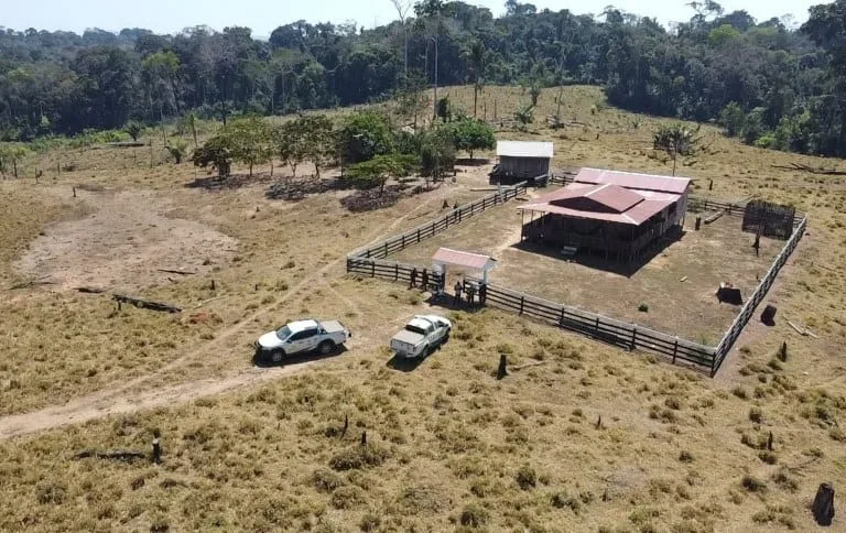 Foto: Acervo NGI Chico Mendes