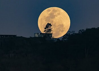 Foto: Eduardo Valente / Secom SC