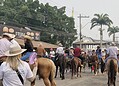 Sob calor de quase 40ºC, população de Rio Branco marca presença na Cavalgada 2024; Veja fotos
