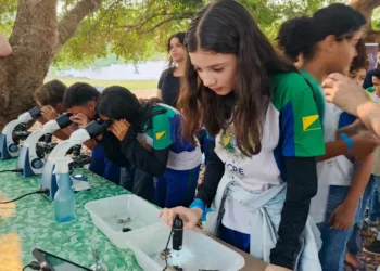 Foto: Dayana Soares/SEE