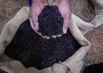 Foto: Sergio Vale/Secom