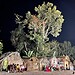 Foto: Karolini Oliveira/Sete