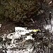 Caixas-pretas gravaram vozes e dados relacionados à queda de avião em Vinhedo