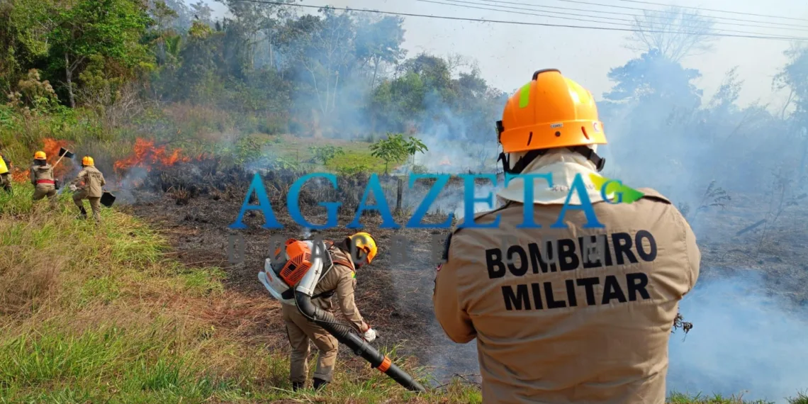 Incêndio atinge área de mata nas proximidades de almoxarifado abandonado na BR-364