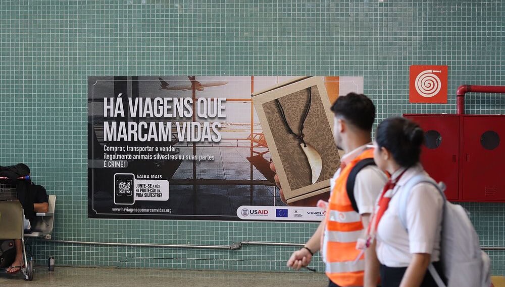 Aeroportos do Acre aderem a campanha contra tráfico de animais silvestres