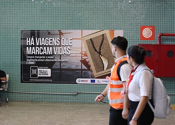 Aeroportos do Acre aderem a campanha contra tráfico de animais silvestres