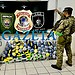 Grande apreensão de drogas no AC gera prejuízo de R$ 1 milhão ao crime organizado