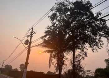 Foto: Iryá Rodrigues
