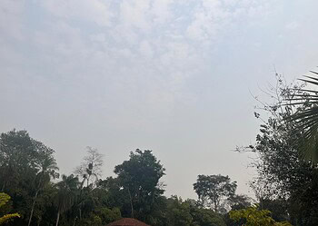 Foto: Iryá Rodrigues