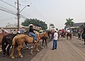 Sob calor de quase 40ºC, população de Rio Branco marca presença na Cavalgada 2024; Veja fotos