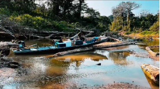 Mais de 10 mil indígenas estão isolados no interior do Acre devido à seca severa dos rios; veja o vídeo