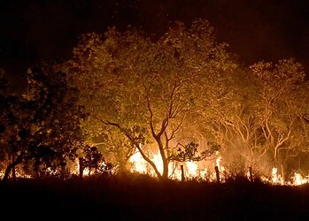 Foto: Jader Souza/AL Roraima