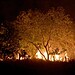 Foto: Jader Souza/AL Roraima