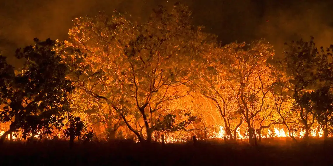 Foto: Jader Souza/AL Roraima