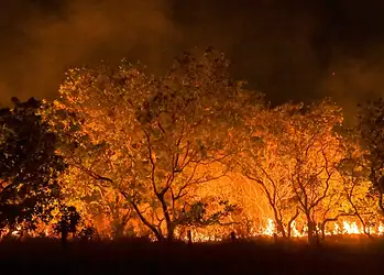 Foto: Jader Souza/AL Roraima