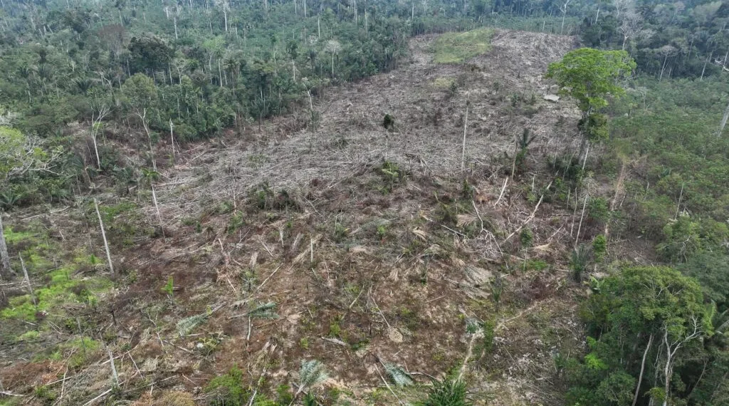 Com 2 pontos, Acre aparece entre os últimos no ranking de transparência do desmatamento 1 Foto: Pedro Devani/Secom