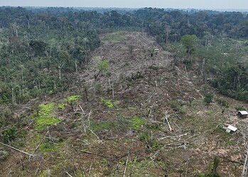 Foto: Pedro Devani/Secom