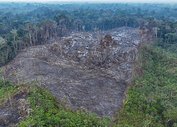 Foto: Pedro Devani/Secom