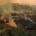 Foto: Arquivo/MP-AC