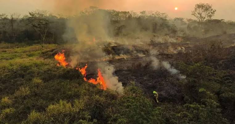 Foto: Arquivo/MP-AC
