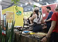 Ainda não foi à Expoacre 2024? Veja algumas fotos da feira