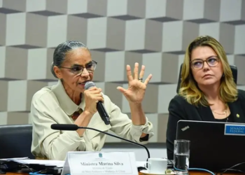 Foto: Roque de Sá/Agência Senado