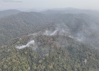 Foto: Arquivo/Corpo de Bombeiros