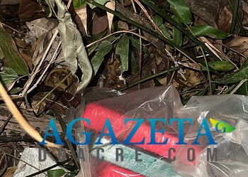Trabalho em equipe da polícia resulta na apreensão de 4 kg de cocaína em Rodrigues Alves
