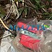 Trabalho em equipe da polícia resulta na apreensão de 4 kg de cocaína em Rodrigues Alves