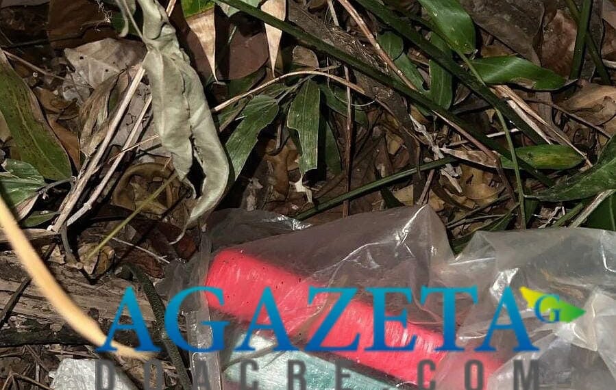 Trabalho em equipe da polícia resulta na apreensão de 4 kg de cocaína em Rodrigues Alves