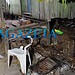 Homem é encontrado morto nos fundos de casa no bairro São Francisco