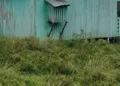 Escolas rurais de Santa Rosa do Purus têm problemas estruturais graves