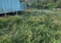Escolas rurais de Santa Rosa do Purus têm problemas estruturais graves