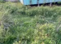 Escolas rurais de Santa Rosa do Purus têm problemas estruturais graves